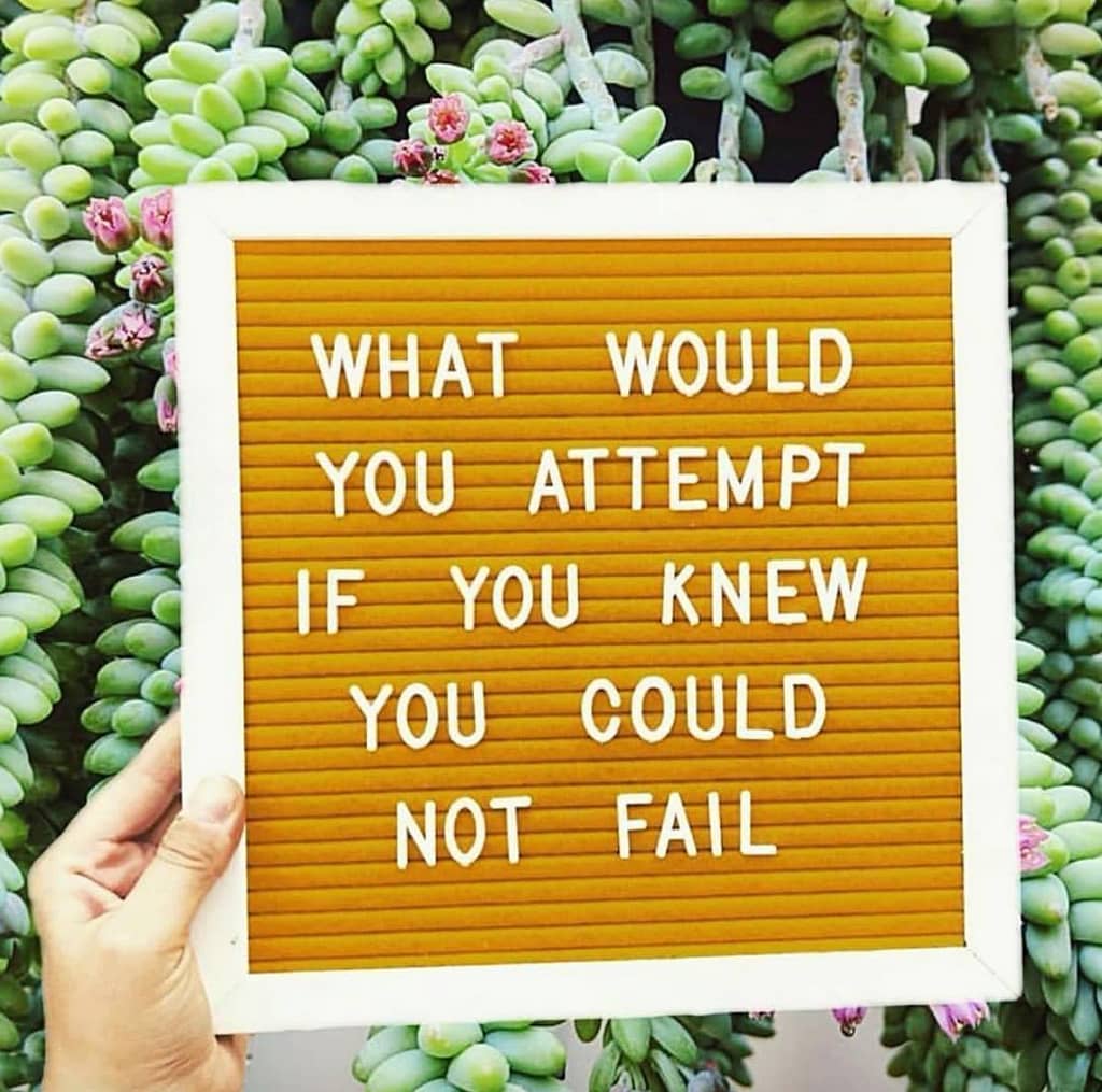 What would you attempt if you knew you could not fail