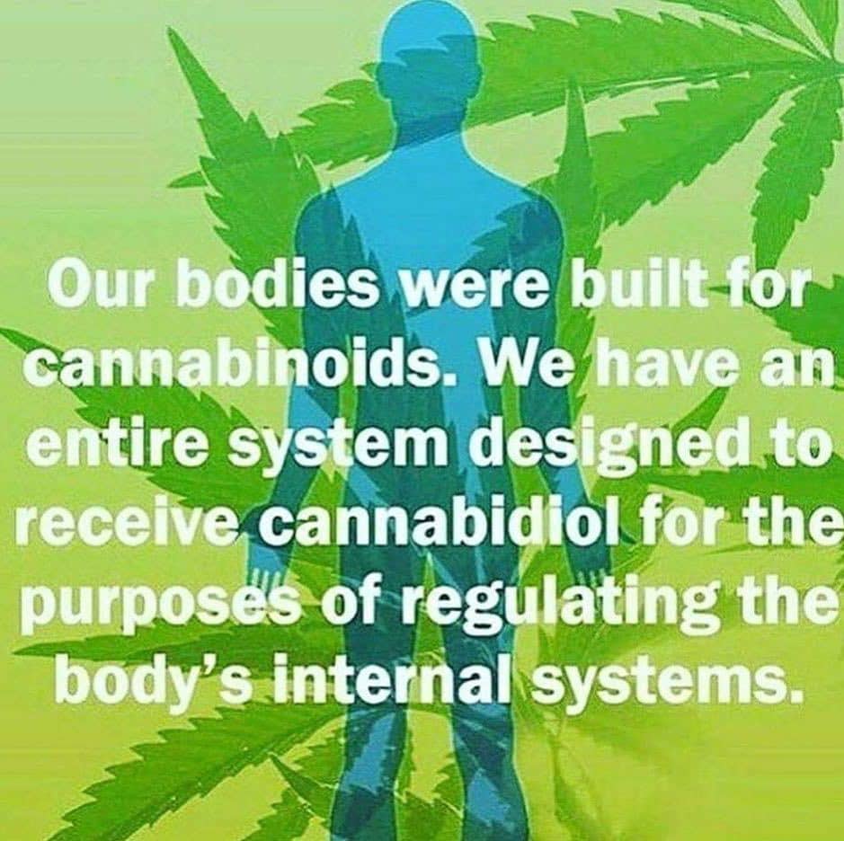 The secret truth about cannabis